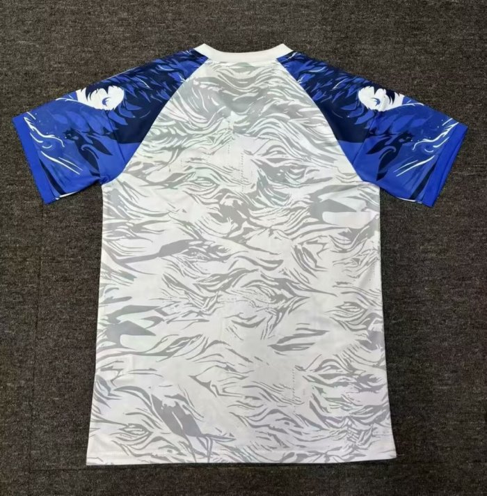 Japan Special Jersey 24/25 Dragon Football Kit Soccer Jersey