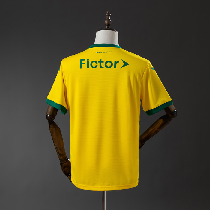 Palmeiras Jersey 2025/26 Third Football Kit