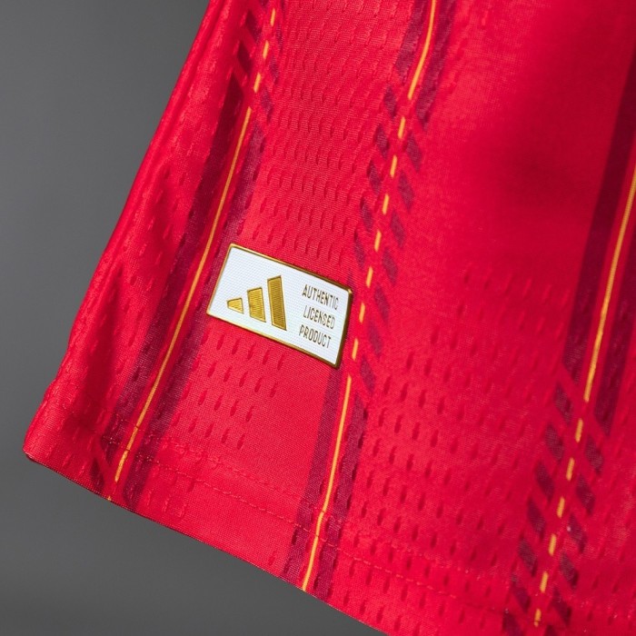 Player Version Spain Home Jersey 2026 World Cup Football Kit Soccer Shirt
