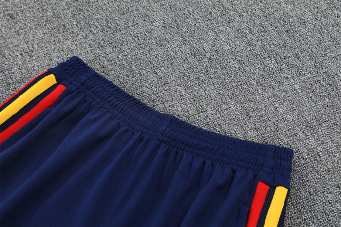 Spain Training Tracksuits 2026 Football Kit Soccer Jersey