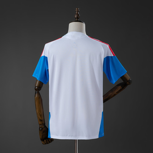 Colombia Training Shirt 2026 World Cup Football Kit Soccer Jersey