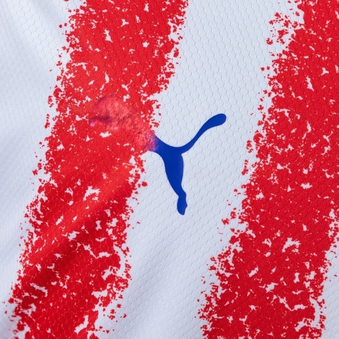 Paraguay Away Jersey 2026 World Cup Football Kit Soccer Jersey