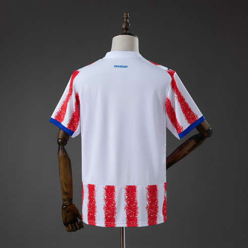 Paraguay Away Jersey 2026 World Cup Football Kit Soccer Jersey