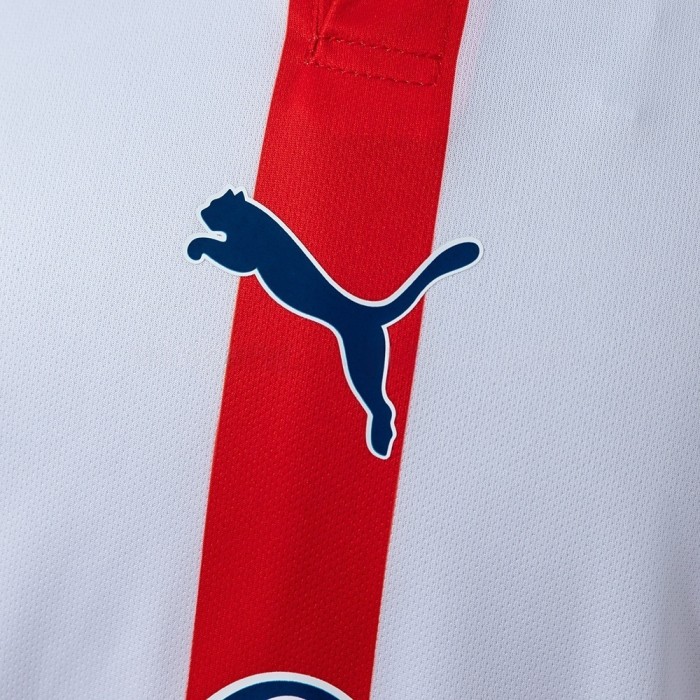 Chivas Jersey 2026-2027 Football Kit Soccer Shirt