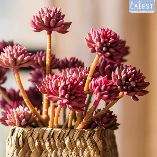 Nt 321 仿真多肉植物多頭石竹裝飾擺件塑膠手感膠花簇花束綠植 M Aciusno Com