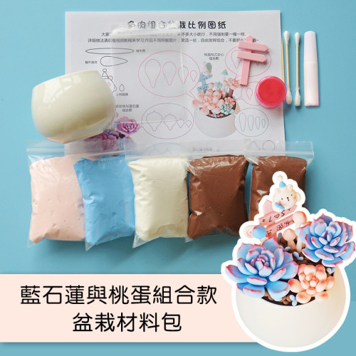 Us Kectios Diy超輕粘土材料包多肉模擬盆栽防塵擺件 M Kingalns Com