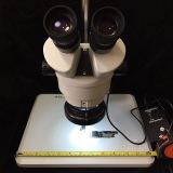 Wylie WL-745A Best CE 7X-45X Simul-Focal Trinocular Zoom Stereo Head WF10X/20 Microscope Accessories