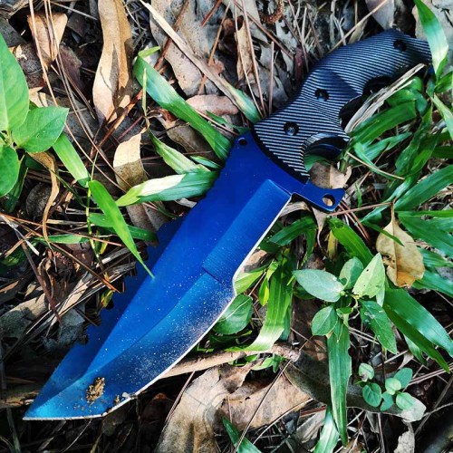 Fixed Blade Knife Straight Full Tang Blade Hunting Camping Hiking Knife - Blue Blade