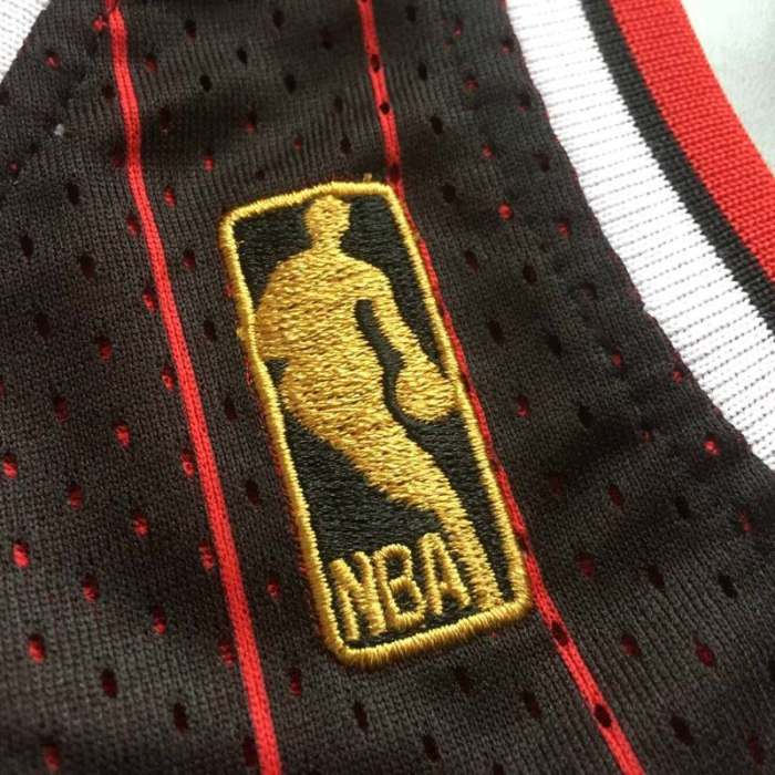 Men's Scottie Pippen Black Retro Classic Team Jersey