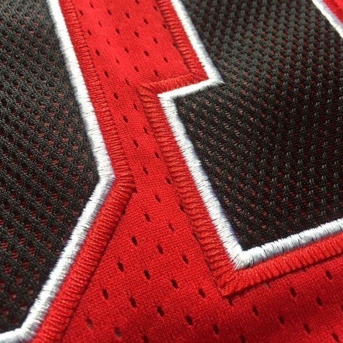 Men's Dennis Rodman Red Retro Classic Team Jersey