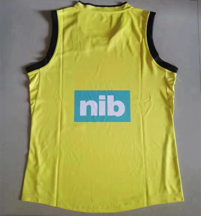 Richmond Tigers 2021 Clash Men's Guernsey