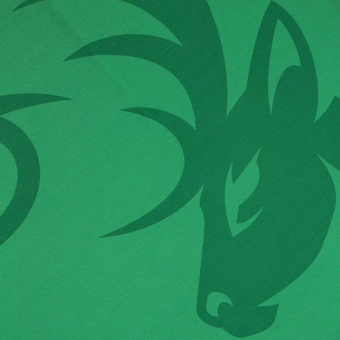 Kerry GAA 2 Stripe Home Men's Jersey 2022