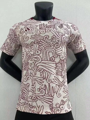Player Vision 2022 Mexico Away Soccer Jersey