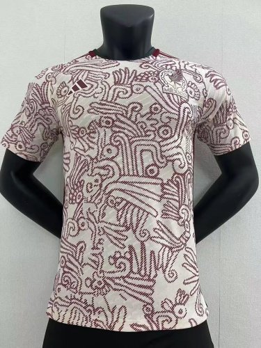 Player Vision 2022 Mexico Away Soccer Jersey