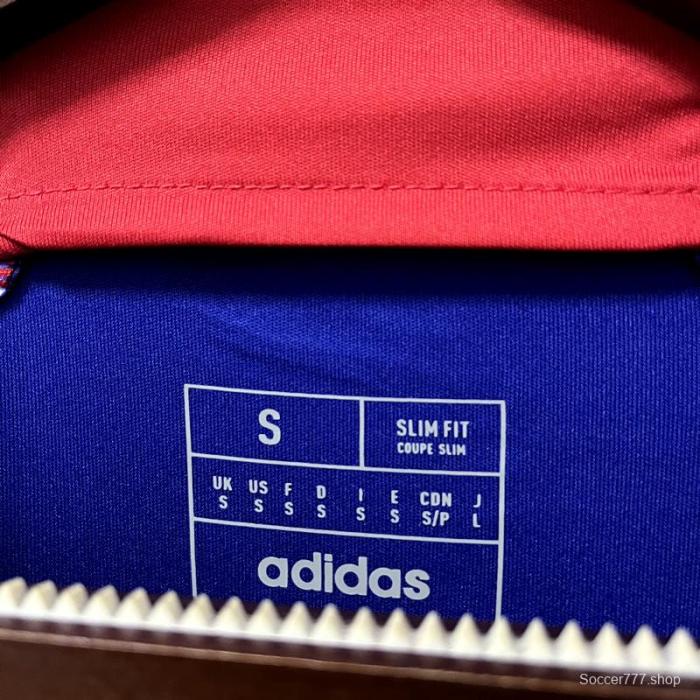 2022 Japan Away Home Jersey