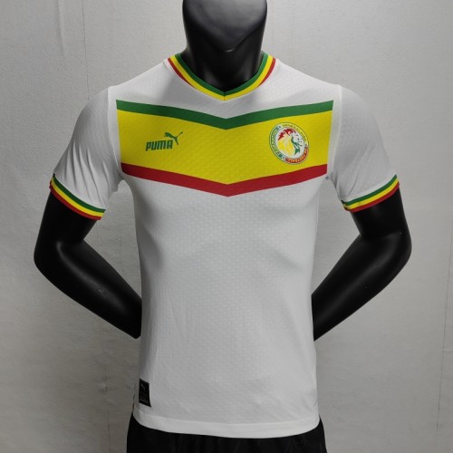 Player Vision 2022 Senegal Home Soccer Jersey