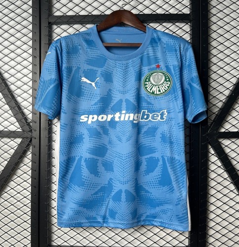 25/26 Palmeiras Goalkeeper Blue Jersey