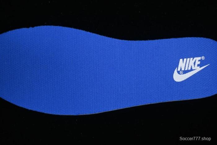 Nike Dunk Low Winter is Here Minimalist White Blue SB Lace-Up Low-Top Casual Skate Shoes - DV0831-104