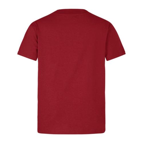 2025 British & Irish Rugby Jersey