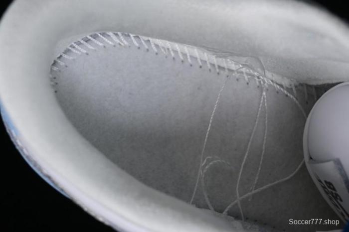 Nike Dunk Low SB Skateboarding Shoes - FD2562-300 1