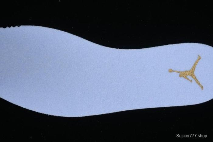 Nike Air Jordan 12 Retro Basketball Shoes with High-Quality Carbon Plate - FD9101-007 1