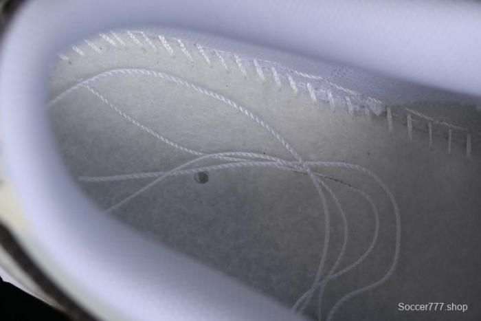 Nike Dunk Low SB 'Neutral' Urban Ruins Skate Shoes with Strap - DV0831-101 1