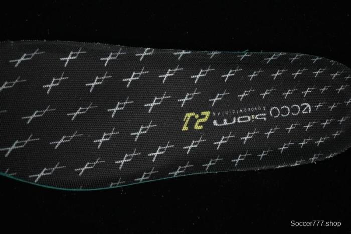 ECCO BIOM 2.1 Outdoor Hiking Shoes with Shock Absorption - 82381459459