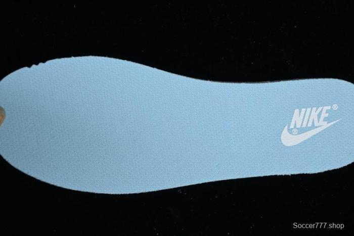 Nike Dunk Low Retro SB Casual Sneakers in Ice Blue Colorway - DV0833-104 1