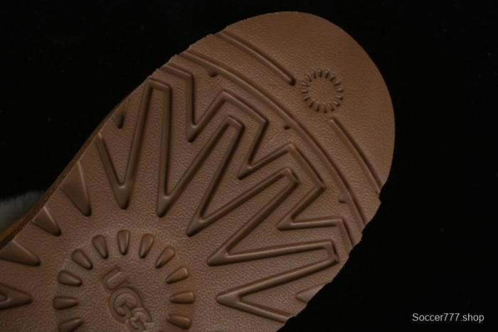 UGG Dakota 5CM Classic Wool Snow Boots with TREADLITE Technology - 1134813