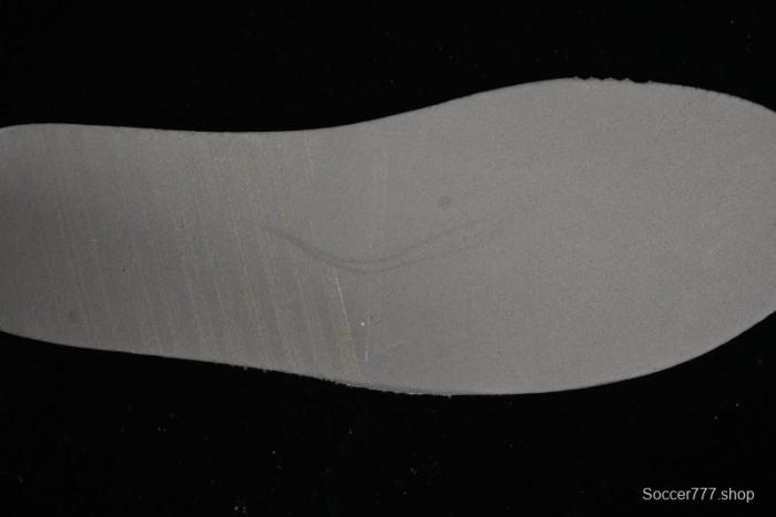 Nike SB Dunk Low Casual Skate Shoes with White and Gum Sole - 311369-100 1