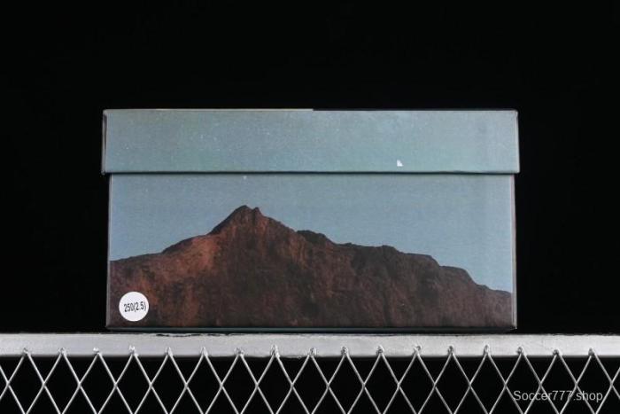 Nike Dunk Low Panda Prank Universe Exploration - Black Purple SB Strap Low Top Casual Skate Shoes - DV0831-002 1