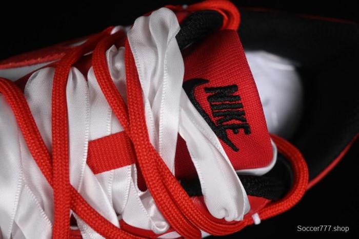 Nike Court Borough Low-Top Casual Sneakers with Dragon Emblem and Splatter Ink Vibe Style - DV5456-600 1