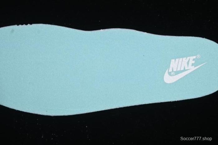 Nike Court Vision Lo 2025 Year of the Snake Theme Campus Casual Sneakers - CD5463-100