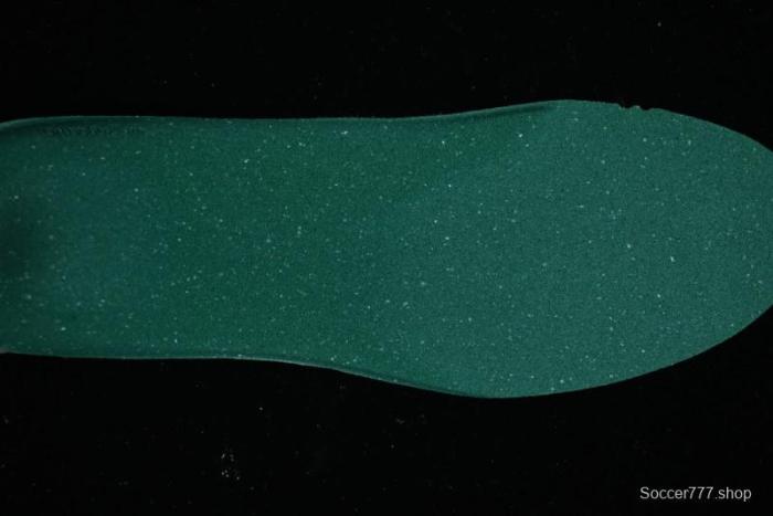 Nike ACG Mountain Fly 2 Low GTX SE Outdoor Hiking Shoes with GORE-TEX and React Foam - FH5700-121