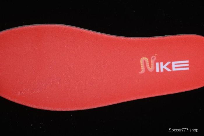 Nike Dunk Low Year of the Snake Themed Low-Top Casual Sneakers - HV6001-101