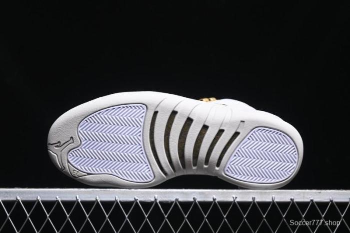 Nike Air Jordan 12 Retro Basketball Shoes - FD9101-007