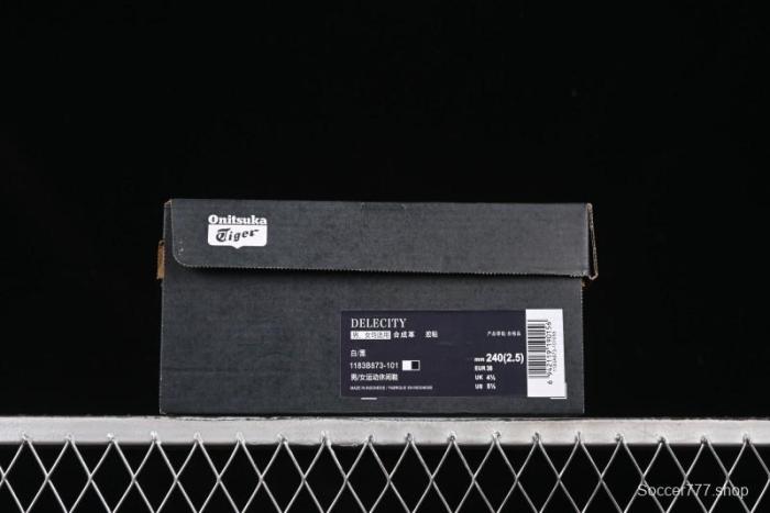 Onitsuka Tiger Delecity Thick Sole Low-Top Lifestyle Sneakers - 1183B873-101