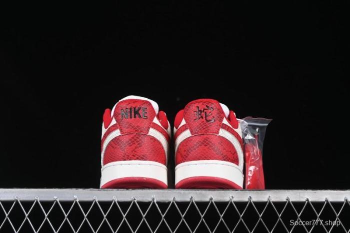 Nike Court Vision Lo 2025 Year of the Snake Theme Campus Casual Sneakers - CD5463-100