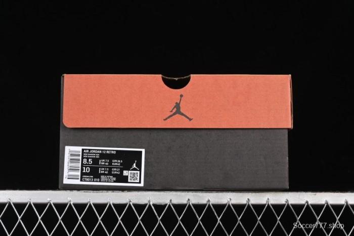 Nike Air Jordan 12 Retro Basketball Shoes in Wolf Grey - CT8013-010