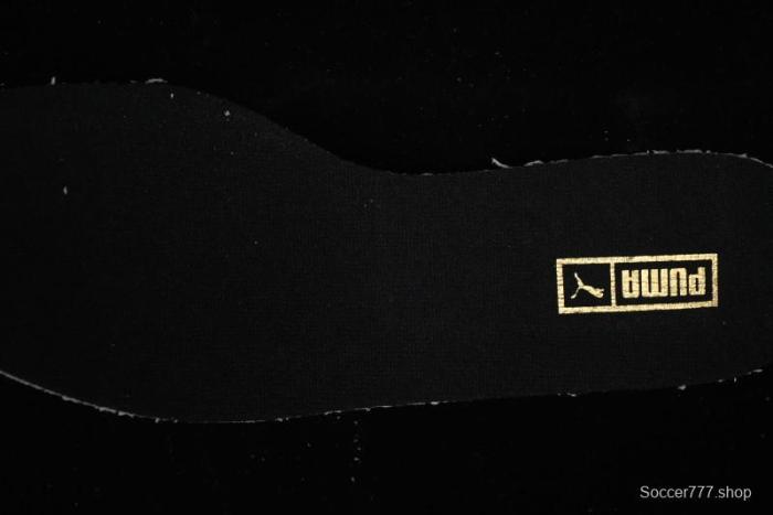 Puma Easy Rider Vintage Low-Top Casual Sneakers - Comfortable Durable Breathable Skate Shoes - 399028-10