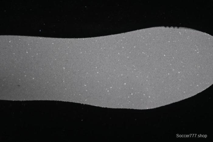 Puma Speedcat Racing Series Low-Top Lifestyle Casual Shoes - 403548-01