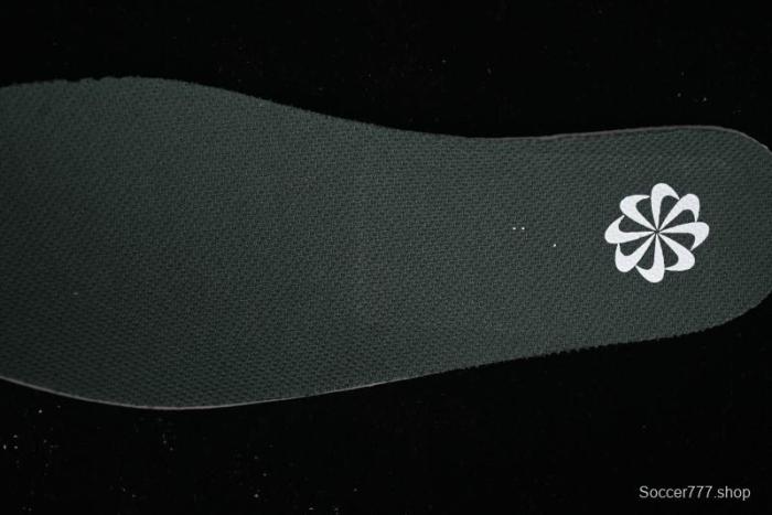 Nike Dunk Low SB Casual Sneakers in Photon Dust and White with Obsidian Accents - HF4299-001