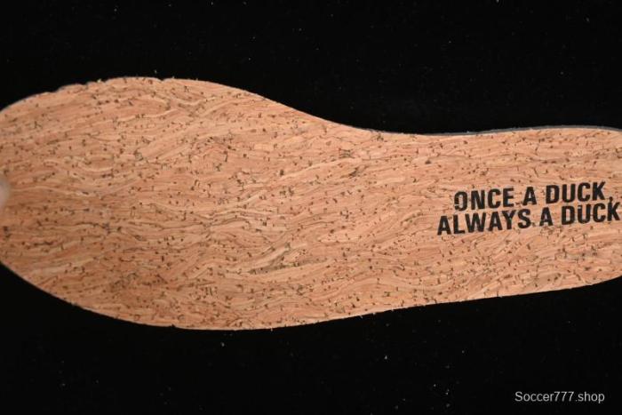 Nike Division Street Dunk Low  Oregon Black  Hidden Colorway Low-Top Casual Sneakers - HV1470-001