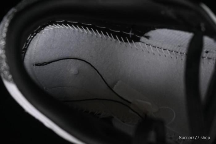 Nike Dunk Low  Glitter Swoosh  Light Silver SB Low-Top Casual Skate Shoes - HQ3462-191