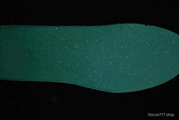 Nike ACG Mountain Fly 2 Low SP Outdoor Hiking Shoes with GORE-TEX and React Foam - FZ3311-100