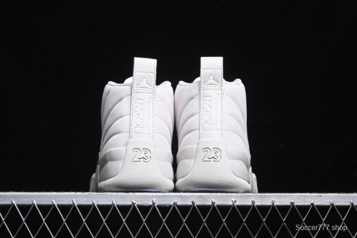 Nike Air Jordan 12 Retro Basketball Shoes - FD9101-007