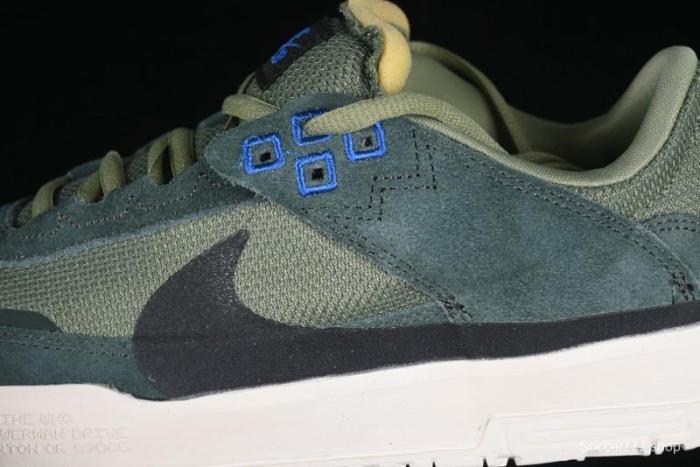 Nike SB Day One Low Top Casual Skate Shoes with Air Zoom Cushion - FN4210-300