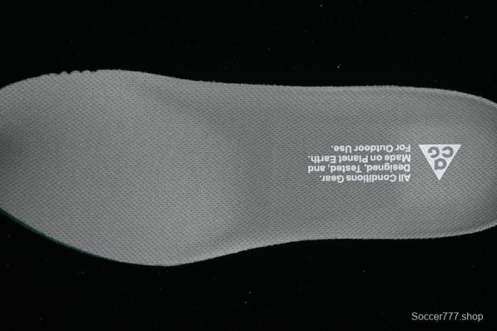 Nike ACG Mountain Fly 2 Low GTX SE Outdoor Hiking Shoes - DV7903-300