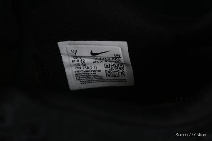 Nike SB Day One Low Top Casual Skate Shoes with Air Zoom Cushion - FN4210-001