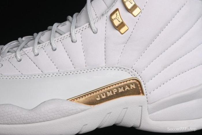 Nike Air Jordan 12 Retro Basketball Shoes - FD9101-007